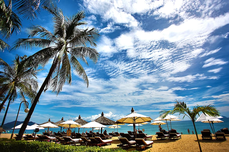 White Umbrellas Near Sea, beach, beach chairs, cloudscape, coast HD wallpaper