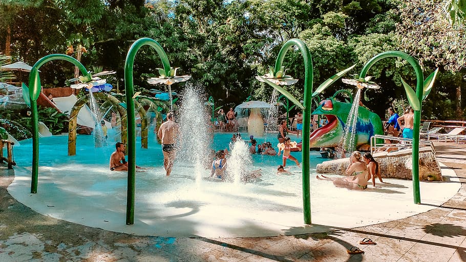 people in pool, water, human, person, water park, amusement park HD wallpaper