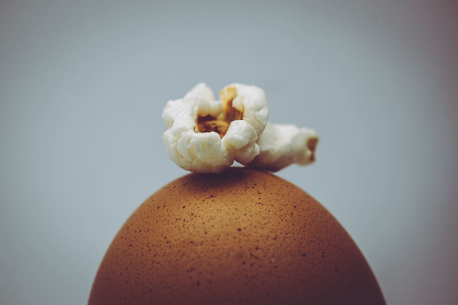 cooked popcorn, studio shot, food and drink, close-up, indoors HD wallpaper