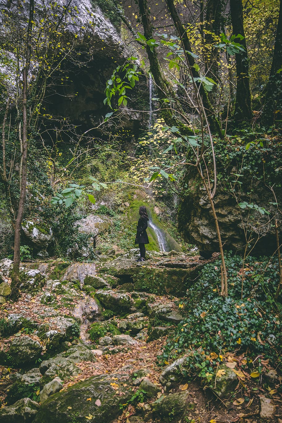 Woman Wearing Black Trench Coat in the Forest, colors, daylight HD wallpaper