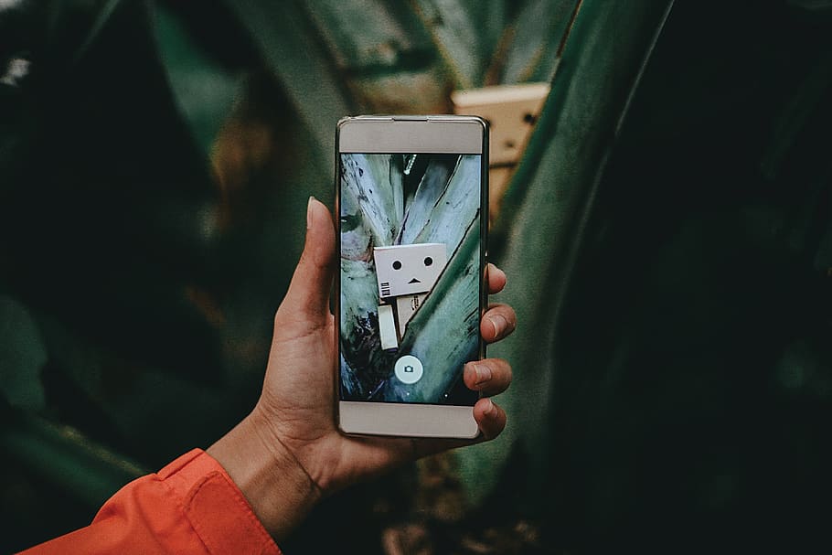 5dmarkii, forest, danbo, holding, technology, human hand, photography themes HD wallpaper