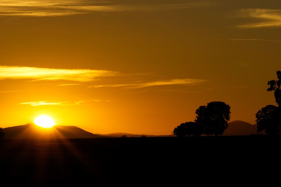 sunset, light star, trees, nature, mood, sky, landscape, dusk HD wallpaper