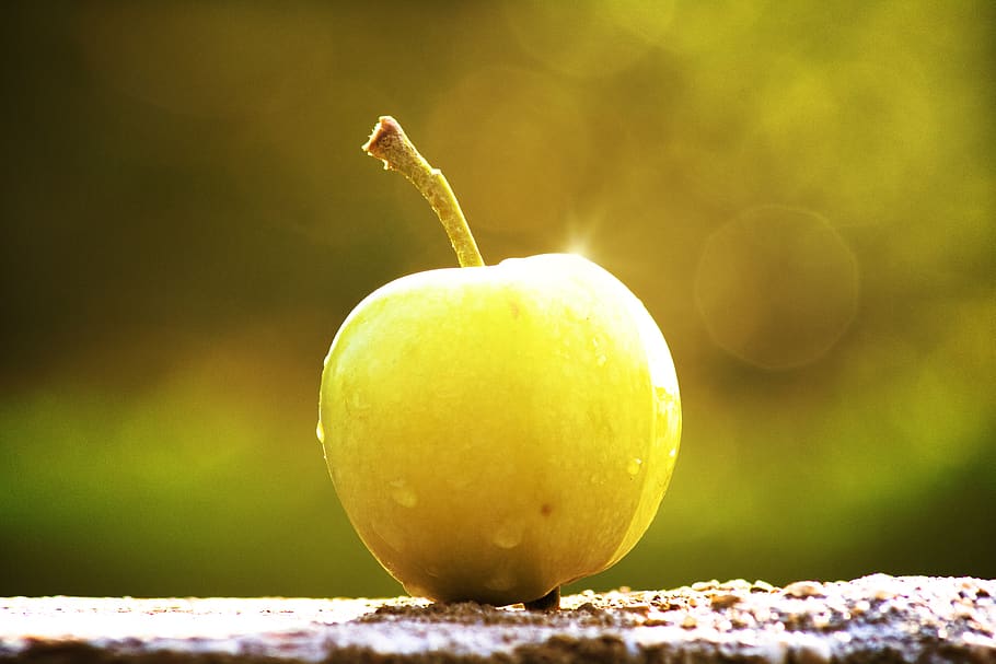 apple, fruit, fresh, healthy, vitamins, food, nature, lighting HD wallpaper