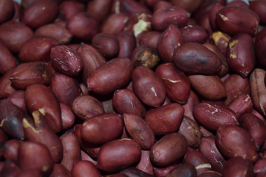 peanuts, walnut, nutrition, appetizer, healthy, feeding, fresh HD wallpaper