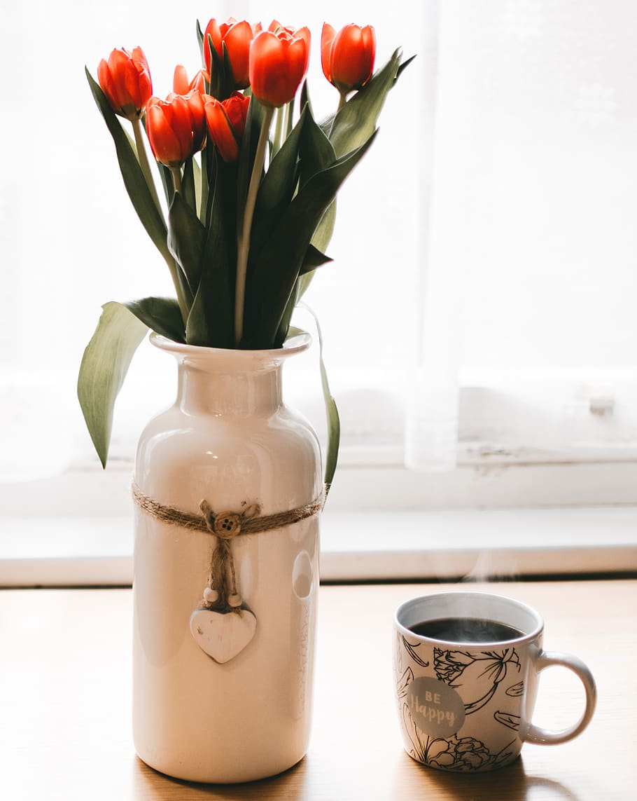 Red Tulips Flowers in White Ceramic Vase Beside Cup of Coffee HD wallpaper