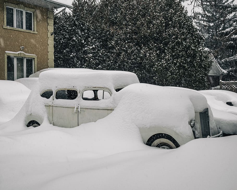 snow, winter, car, cold, canada, cold temperature, plant, covering HD wallpaper