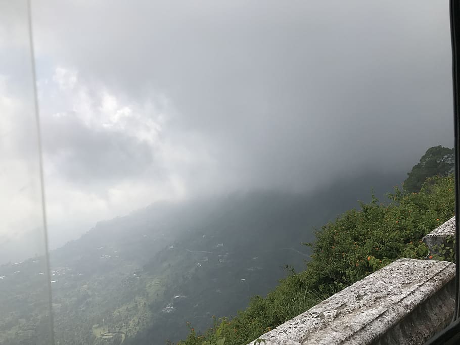 trees, mountains, forest, beauty in nature, fog, scenics - nature HD wallpaper