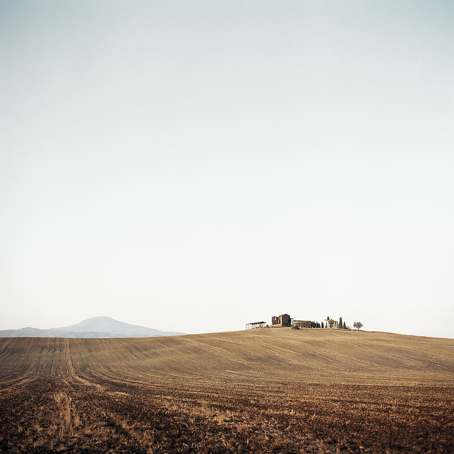 brown field at daytime, landscape, environment, copy space, sky HD wallpaper