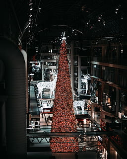 Christmas tree between buildings, plant, ornament, human, person HD wallpaper