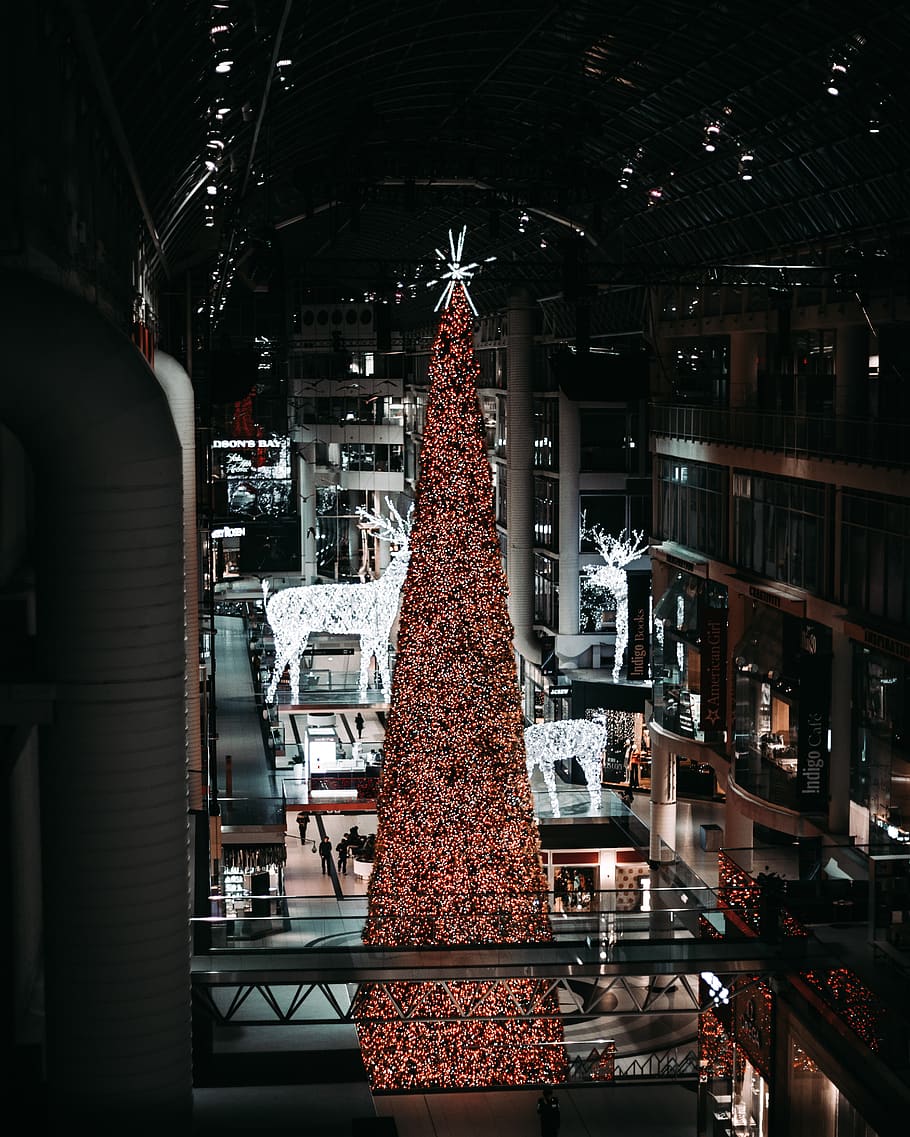 Christmas tree between buildings, plant, ornament, human, person HD wallpaper