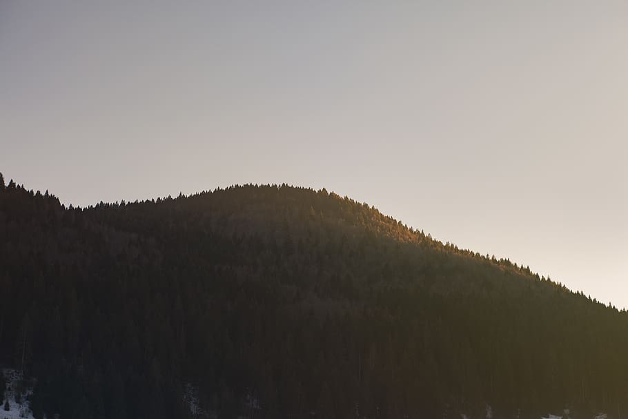 Photo of Mountain, dawn, daylight, environment, forest, landscape HD wallpaper