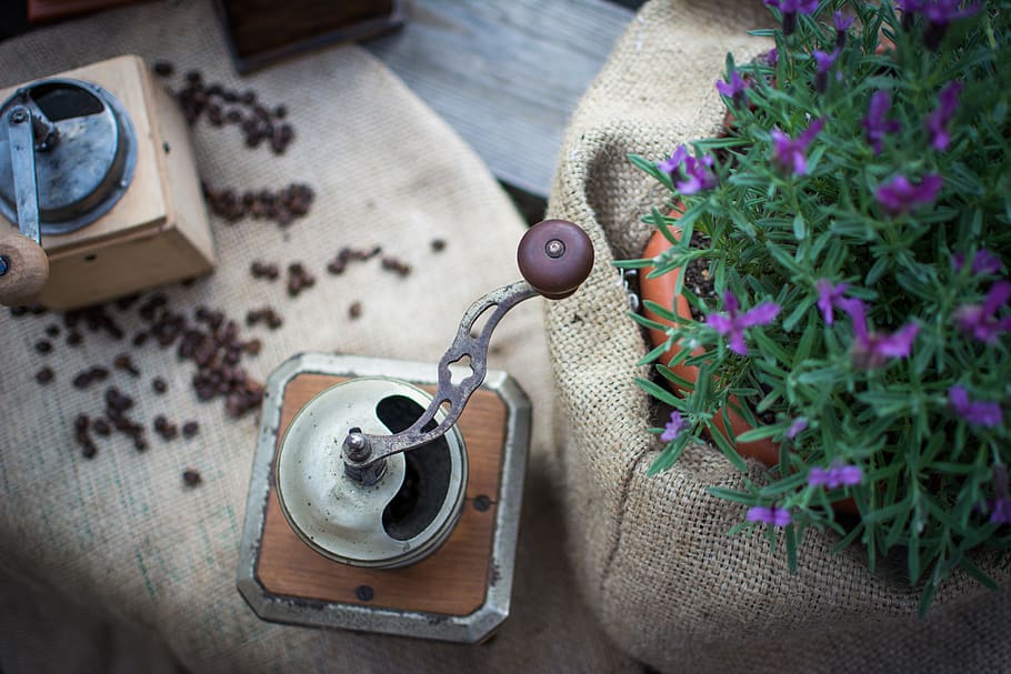 coffee, grinder, flower, lavender, wood, fabric, green, brown HD wallpaper