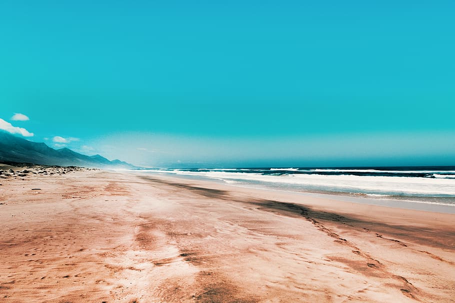 Seashore Under Blue Sky, beach, clear sky, footprints, landscape HD wallpaper