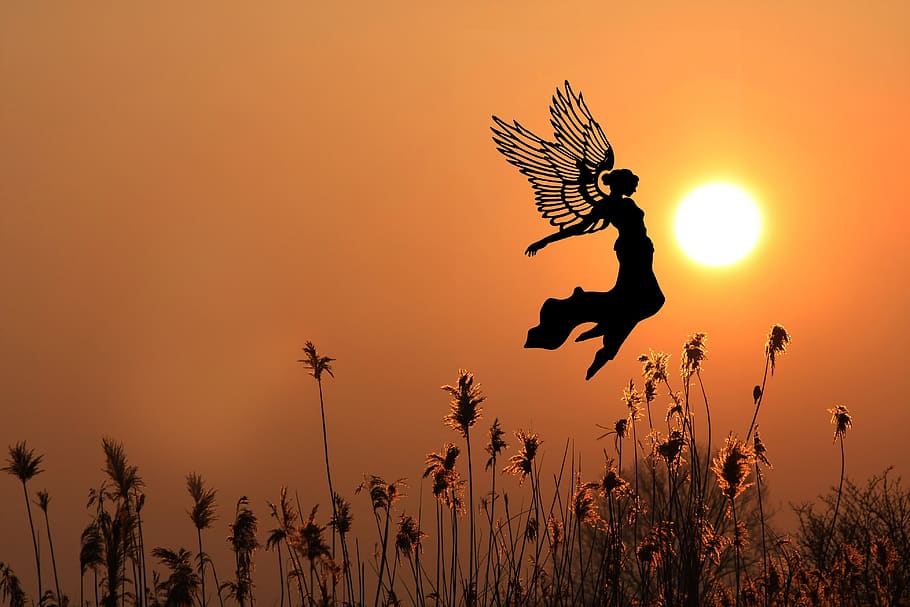 sunset, sky, elf, silhouette, orange color, full length, nature HD wallpaper