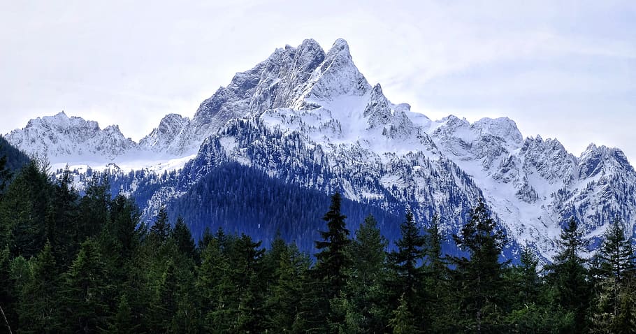 trees under snow capped mountain, outdoors, nature, mountain range HD wallpaper