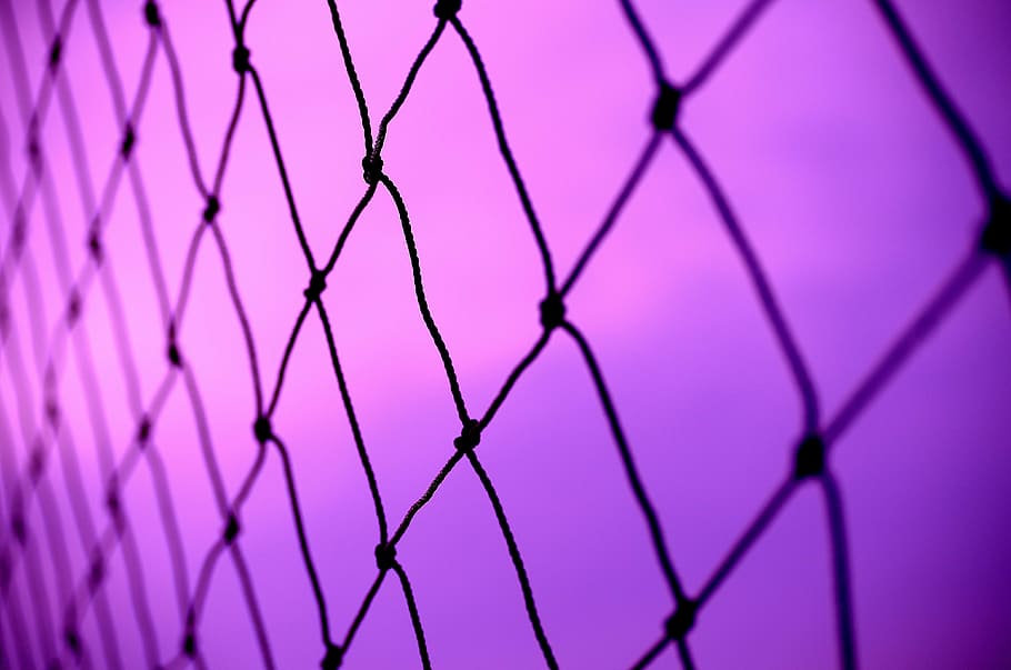net, abstract, purple, urban, fence, full frame, backgrounds HD wallpaper