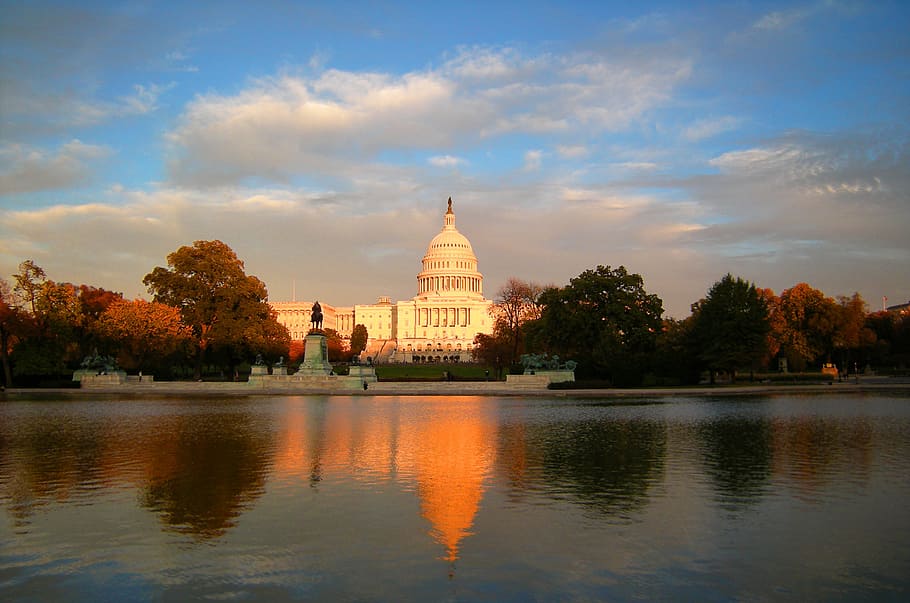 United States Capitol, architecture, building, monuments, tree HD wallpaper