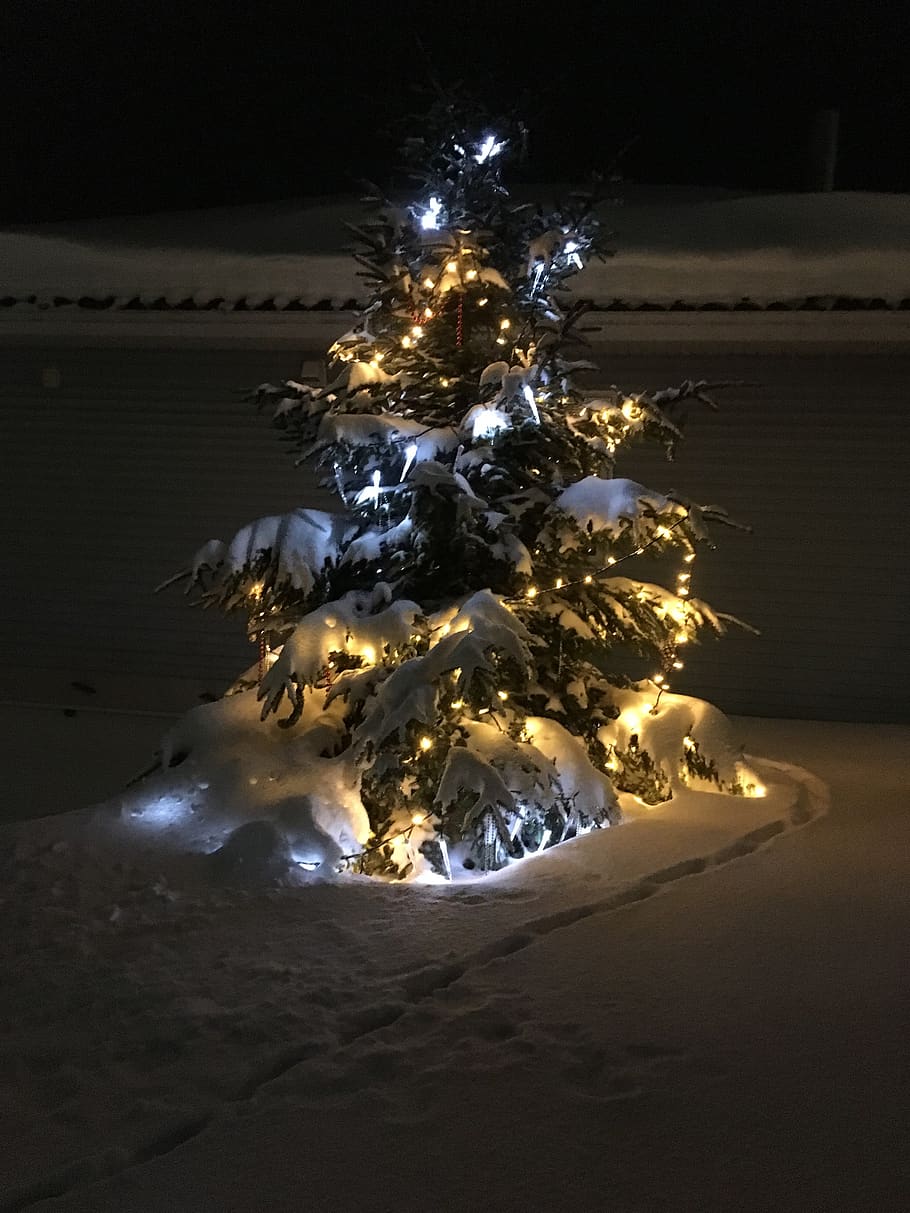 christmas, illuminated, celebration, night, no people, holiday HD wallpaper