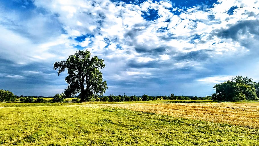 Grass Field, clouds, cropland, daylight, environment, farm, farmland HD wallpaper