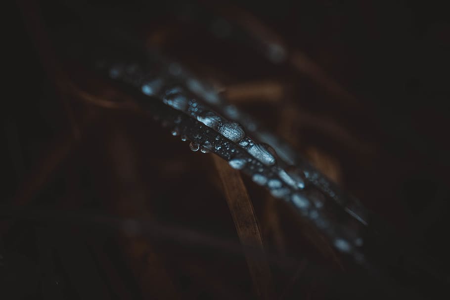 silver and diamond studded ring, droplet, latvia, water, grass HD wallpaper