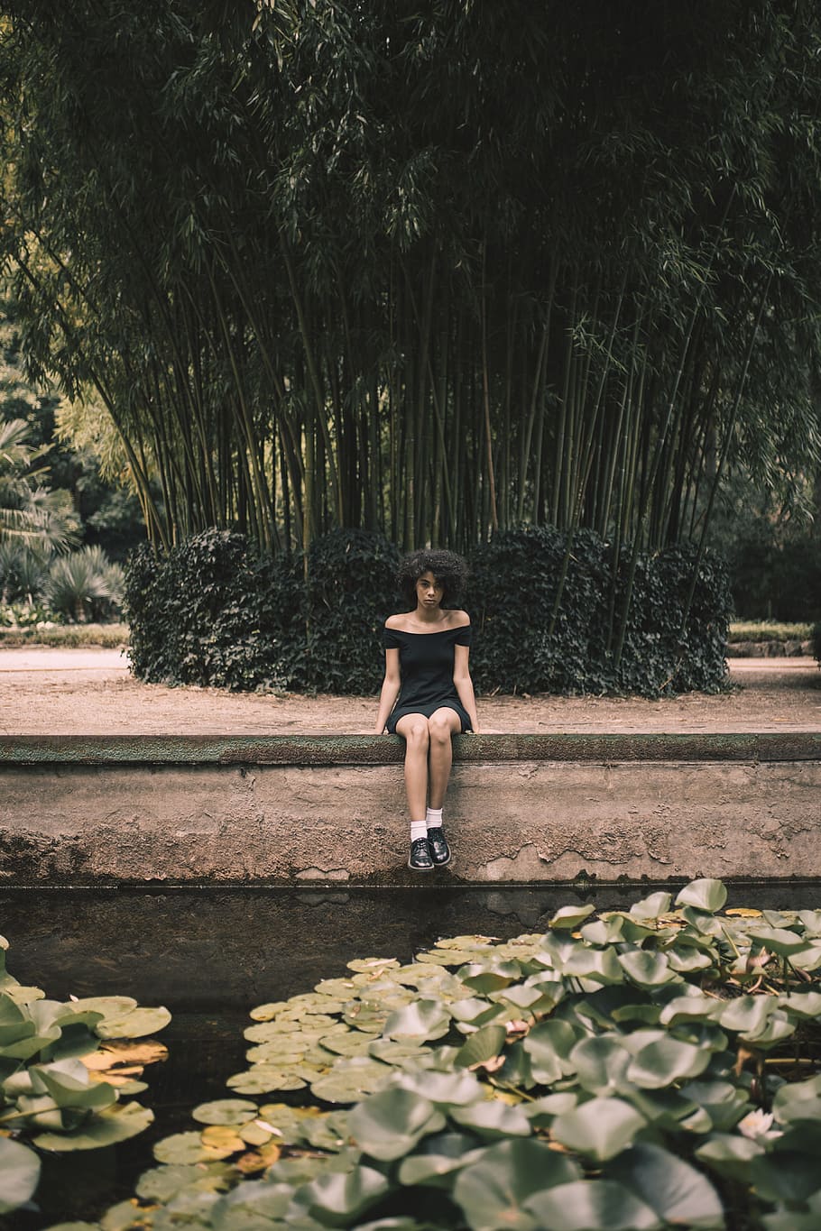 woman sitting on black canal frame, tree, forest, edge, water HD wallpaper