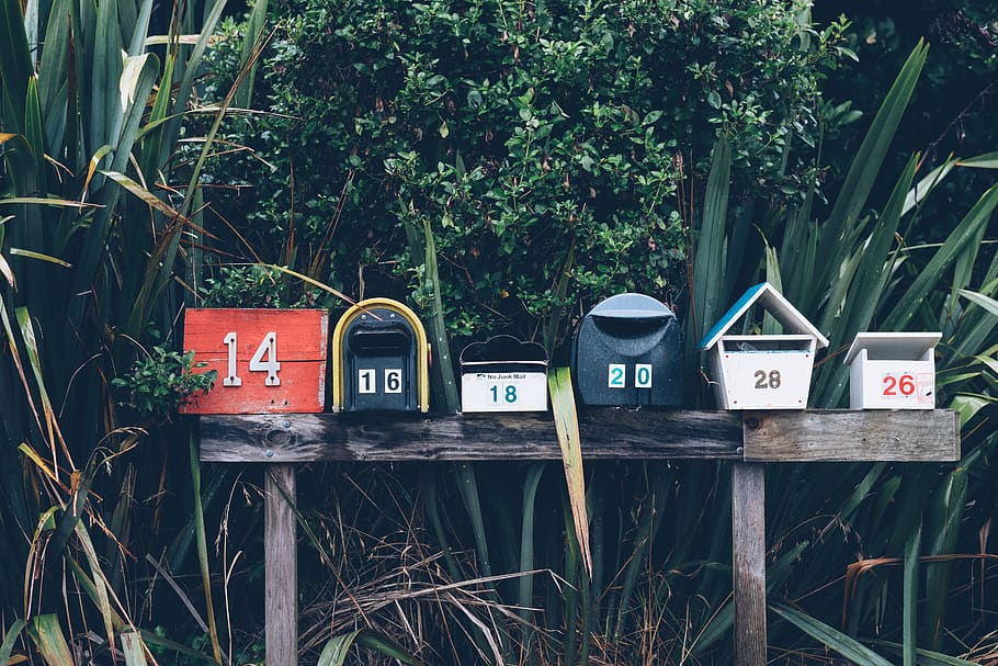 mailboxes, numbers, plants, communication, text, nature, day HD wallpaper
