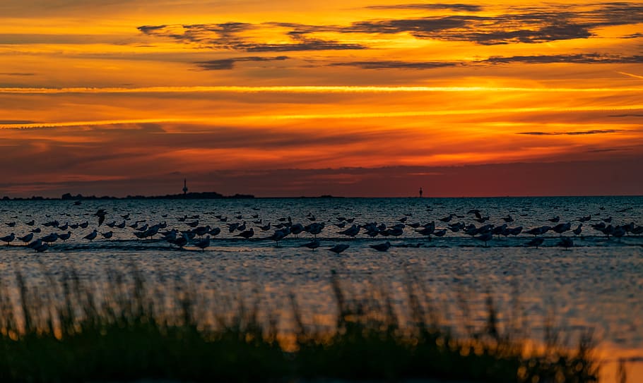 nature, sunset, sky, landscape, evening, water, dusk, abendstimmung HD wallpaper