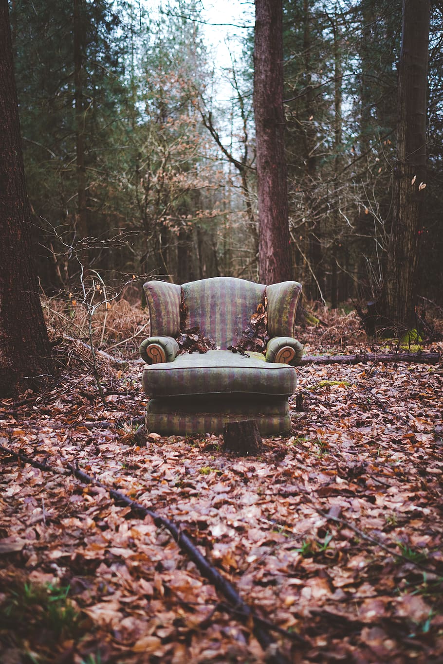 HD wallpaper: trees, forest, winter, brown, chair, abandoned, faded, worn |  Wallpaper Flare