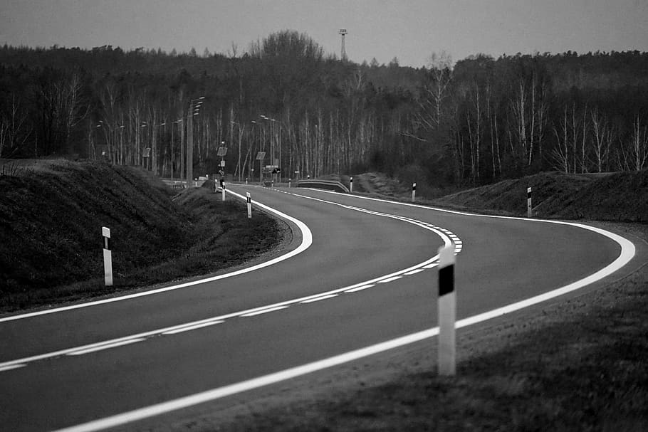 road, curve, tree, plant, sign, marking, nature, symbol, transportation HD wallpaper