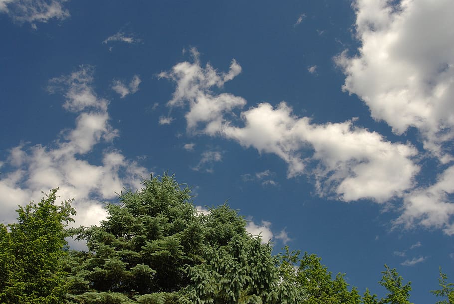 sky, clouds, weather, nature, desktop background, wideangle HD wallpaper
