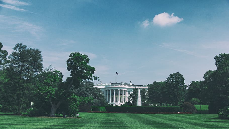 Capitol Hill, U.S.A., plant, tree, architecture, built structure HD wallpaper