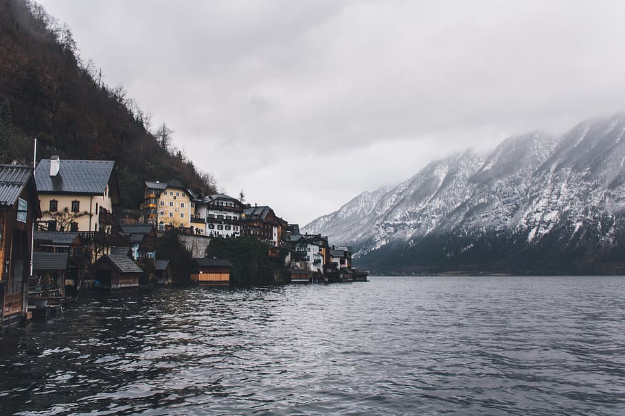create, village, forest, trees, lakes, blues, whites, zing HD wallpaper