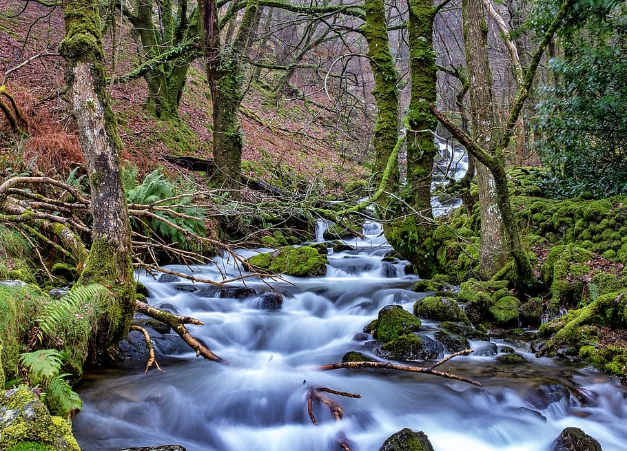 blue river between green covered trees, nature, water, outdoors HD wallpaper