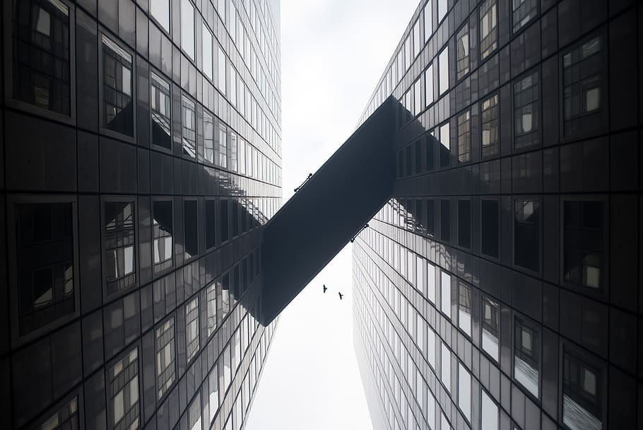 france, paris, mirror, skyscraper, birds, city, mood, reflections HD wallpaper