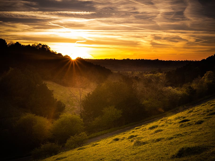 box hill, surrey, valley, sky, summer, country, countryside