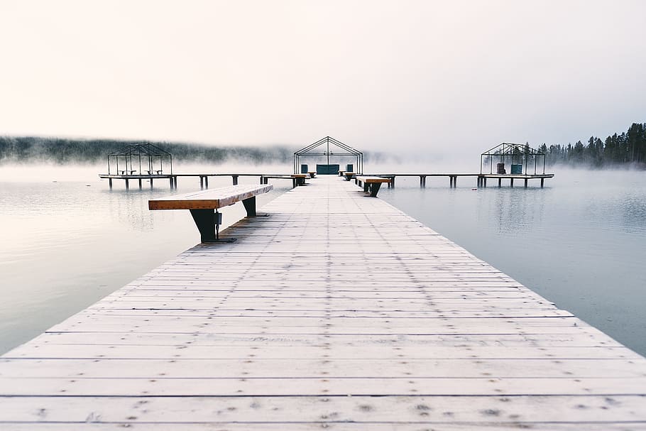 brown bench on brown wooden bridge, dock, mist, fog, tree, forest HD wallpaper