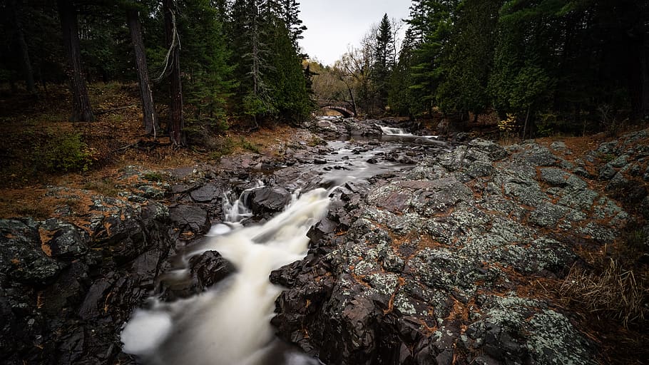 stream between trees during daytime, north shore, lake superior