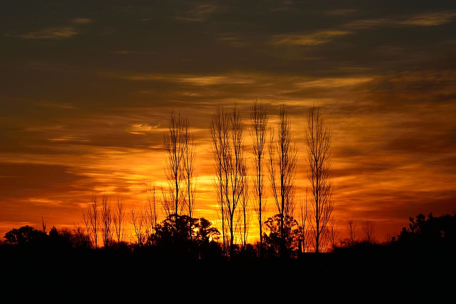 sunset, light, landscape, nature, sky, trees, horizon, clouds HD wallpaper