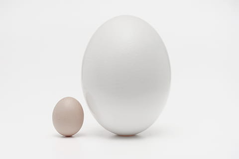 two organic eggs, food, easter egg, pill, medication, oval, wallpaper HD wallpaper