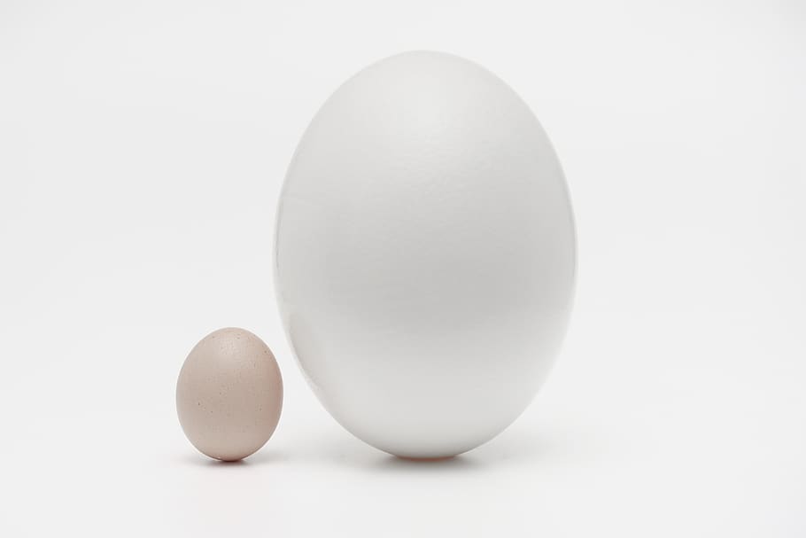 two organic eggs, food, easter egg, pill, medication, oval, wallpaper HD wallpaper