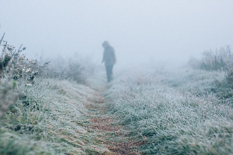 person standing on pathway with grass, nature, outdoors, ice HD wallpaper
