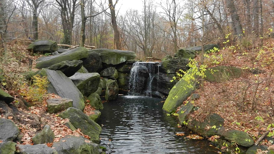 nature, fall, color, water, tree, plant, forest, scenics - nature HD wallpaper