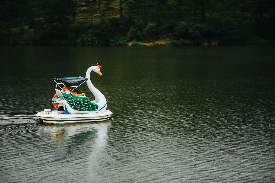 Swan Boat in Body of Water, daylight, design, lake, leisure, outdoors HD wallpaper
