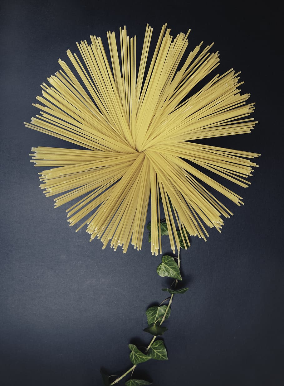 studio shot, pasta, indoors, plant, freshness, italian food HD wallpaper