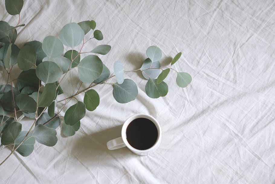 Flat Lay Photography of White Mug Beside Green Leafed Plants