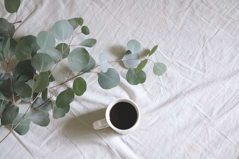 Flat Lay Photography of White Mug Beside Green Leafed Plants HD wallpaper