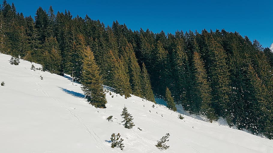 austria, lech, forest, snow, mountain, sky, clouds, sun, blue HD wallpaper