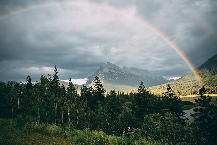 canada, banff, tree, mountain, rainbow, lake, beauty in nature HD wallpaper
