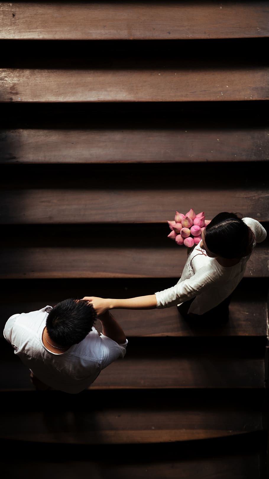 people holding hands, wood - material, real people, flowering plant HD wallpaper