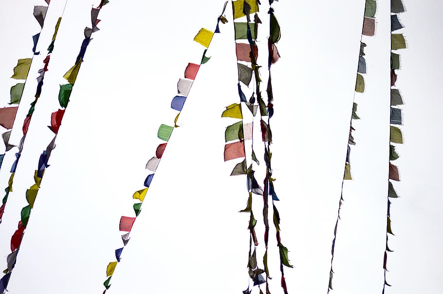multi colored, hanging, no people, nature, low angle view, day HD wallpaper